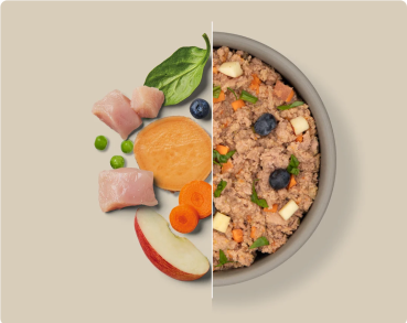 Preview: Gourmetglas Huhn 6 x 400 g